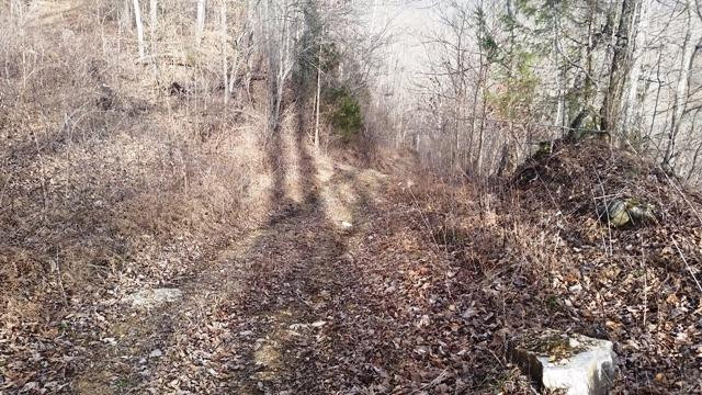 899 South Fork Road Stanton, KY 40380 - Photo 3 of 22 Photo 3