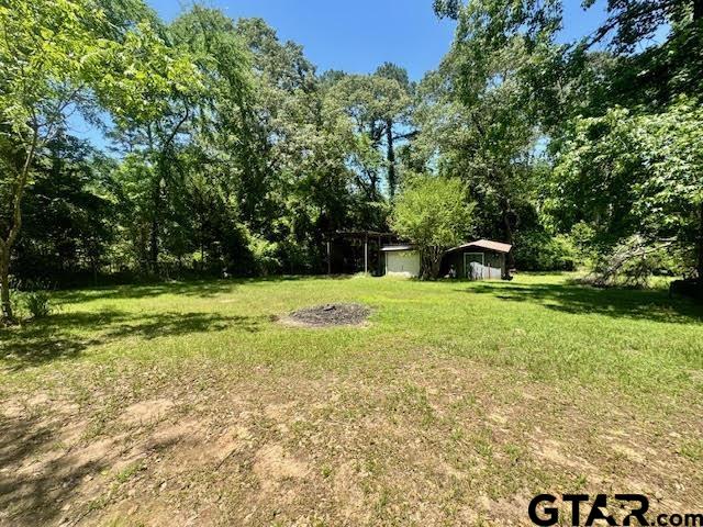 23319 Peninsula Point Frankston, TX 75763 - Photo 17 of 30