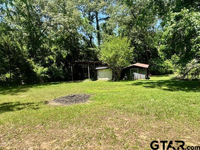 23319 Peninsula Point Frankston, TX 75763 - Photo 18 of 30