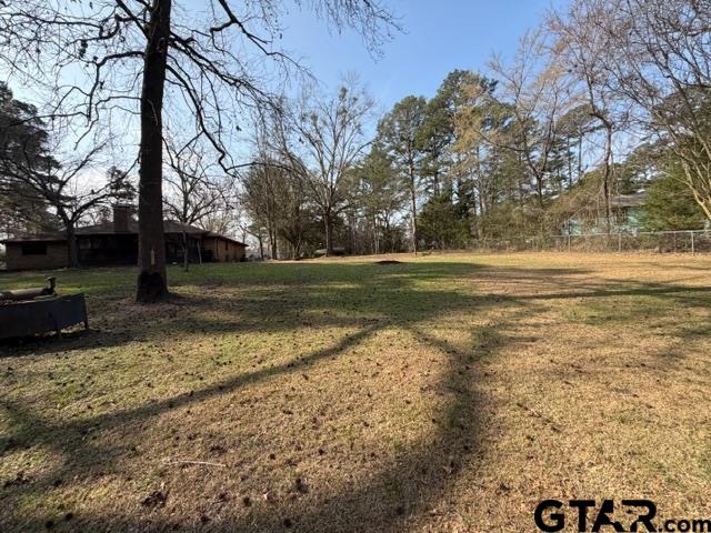 23319 Peninsula Point Frankston, TX 75763 - Photo 19 of 30