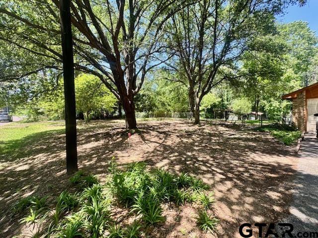 23319 Peninsula Point Frankston, TX 75763 - Photo 27 of 30