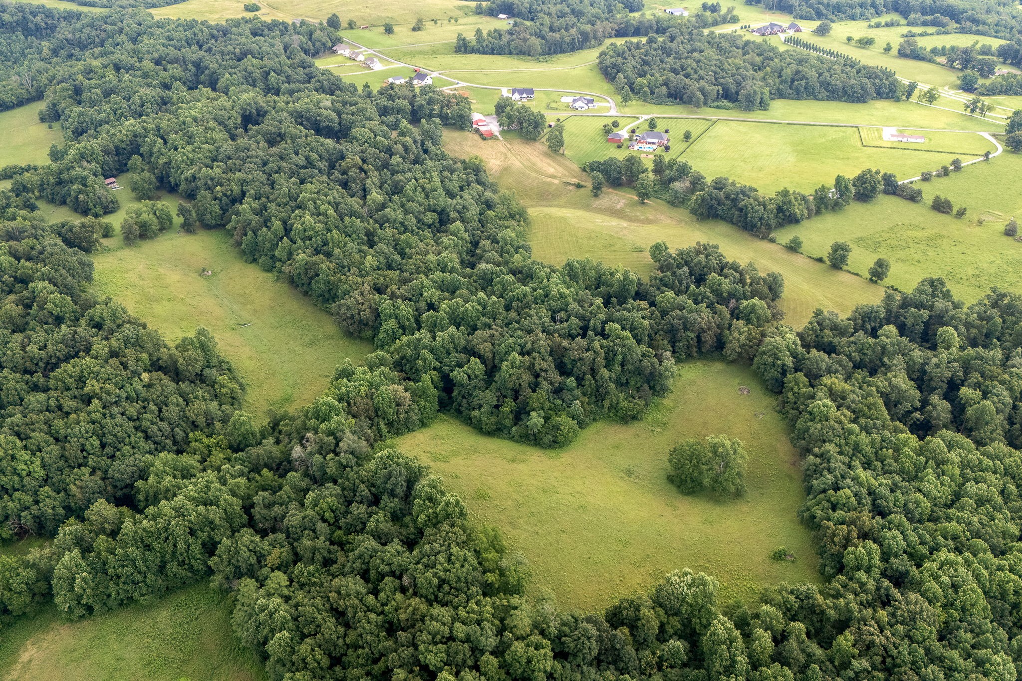 540 Powell Hollow Road Tullahoma, TN 37388 - Photo 80 of 83 a view of a lake with a yard and mountain view