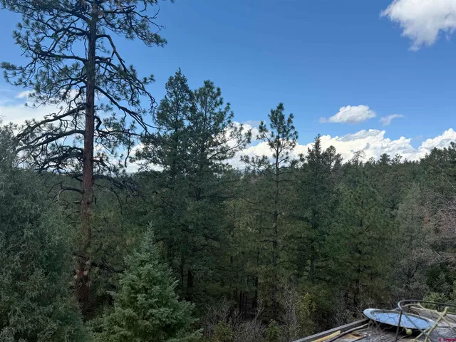 a view of a chairs and table in the back yard