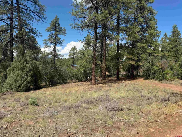 $85,000 | 93-127 Carey S Court, Pagosa Springs, CO 81147