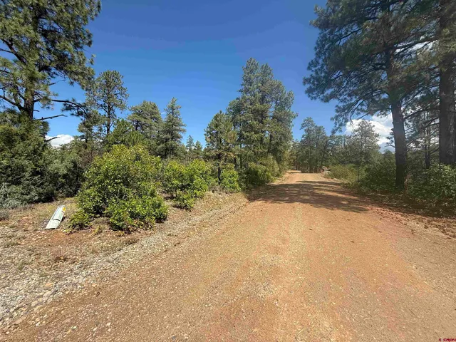 $85,000 | 93-127 Carey S Court, Pagosa Springs, CO 81147