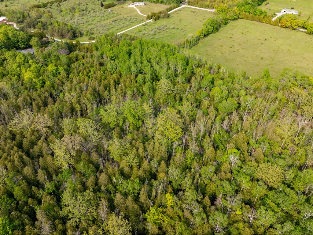 Tbd Fieldcrest Road Sister Bay, WI 54234 - Photo 15 of 24 Gallery Image 15
