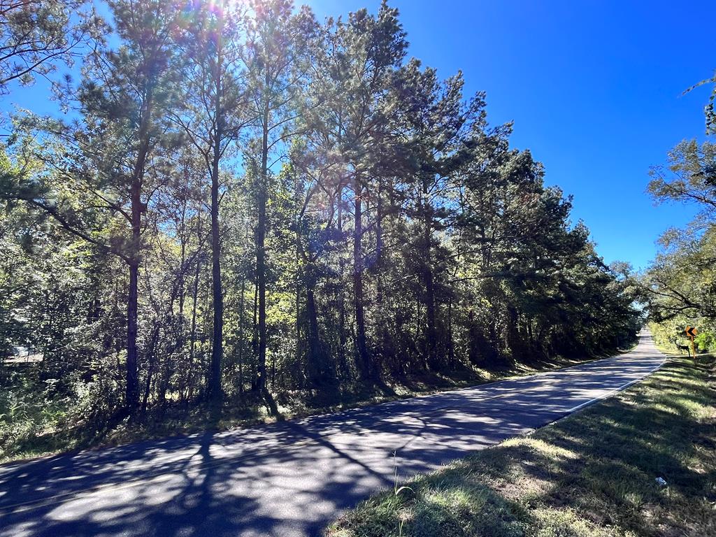 Nhn Ceasar Road Picayune, MS 39466 - Photo 1 of 1 Main View