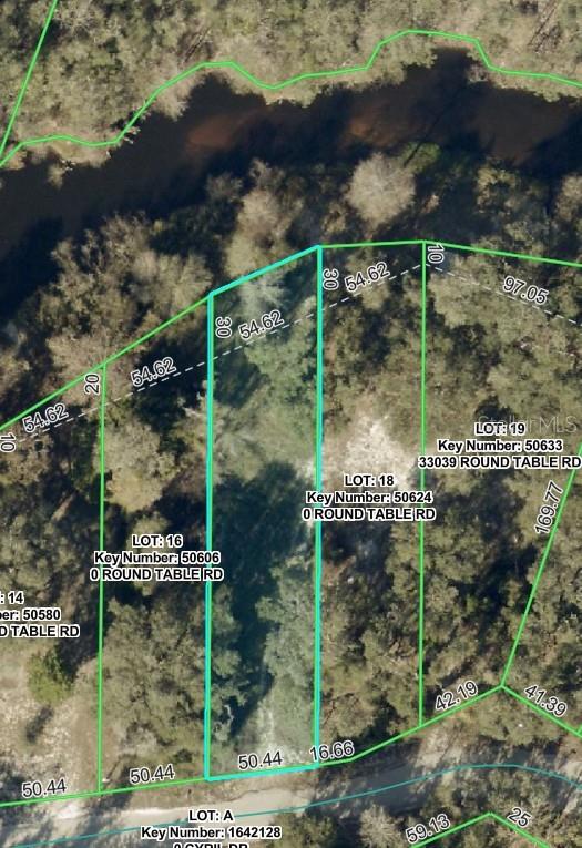 0 Round Table Road Dade City, FL 33523 - Photo 3 of 12 Gallery Image 3