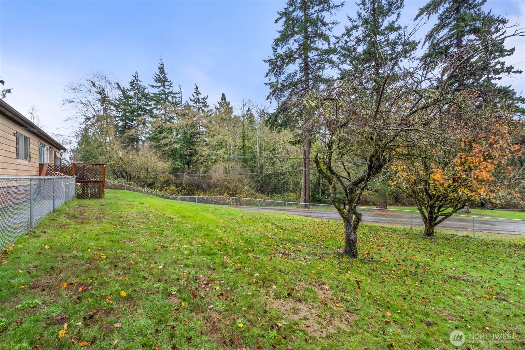 4692 Sherman Heights Road Bremerton, WA 98312 - Photo 27 of 28 a view of yard with tree