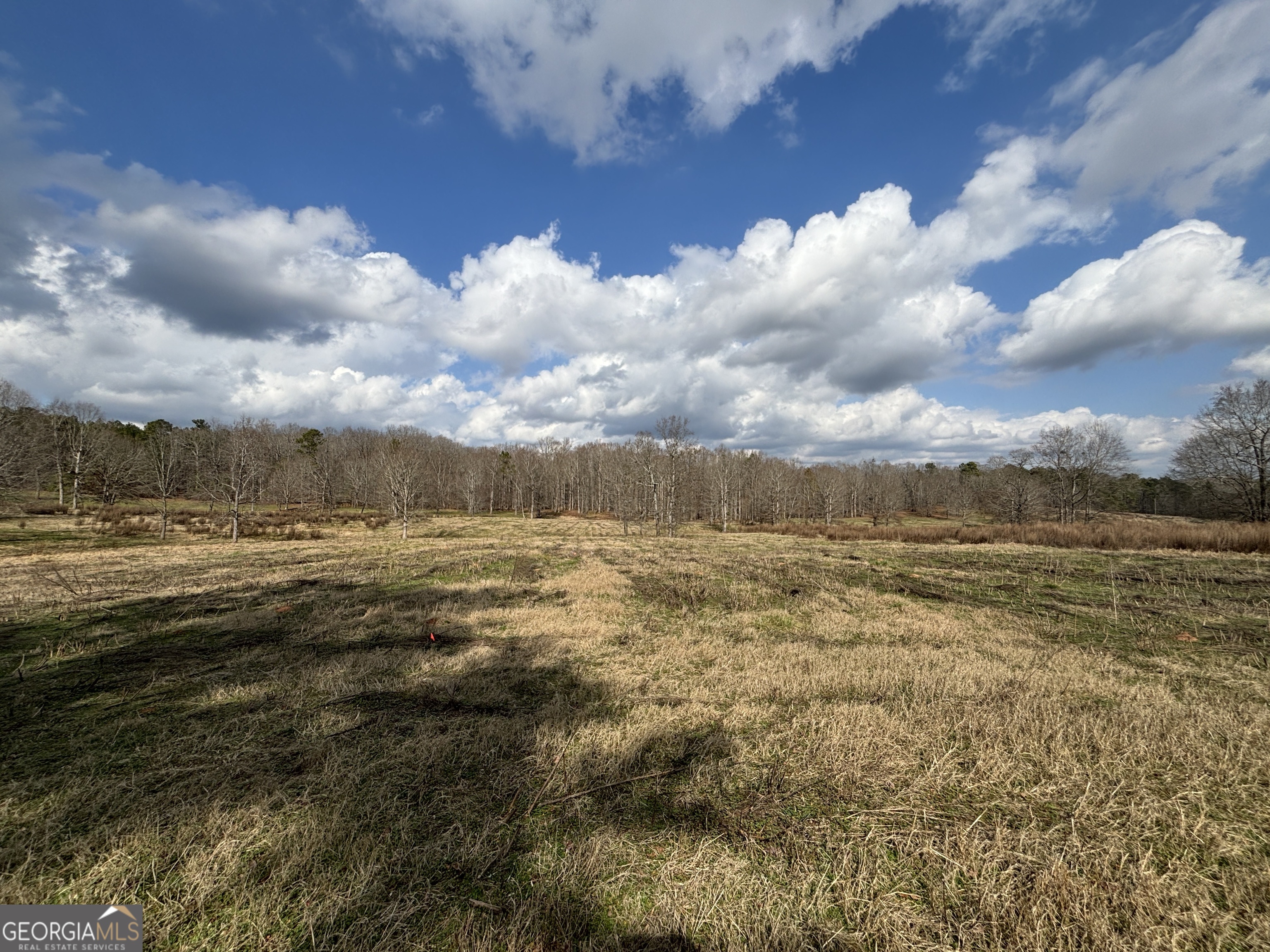 0 Blue Ridge School Road, Unit LOT 5 Forsyth, GA 31029 - Photo 1 of 1