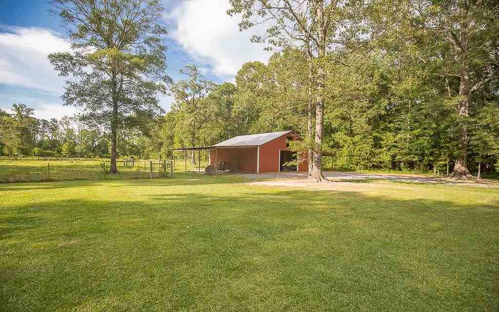 19805 McLin Road Livingston, LA 70754 - Photo 4 of 9 Gallery Image 4