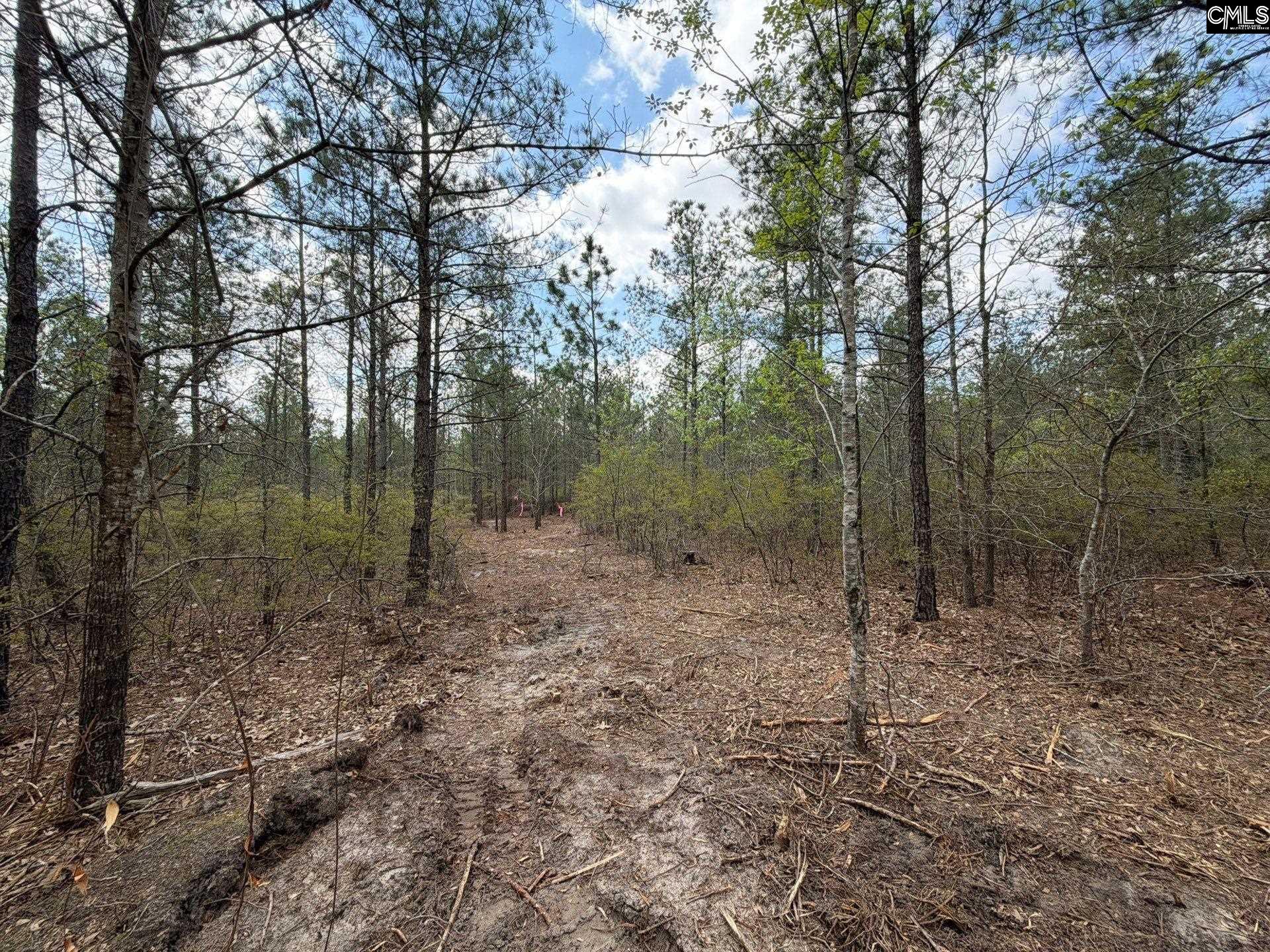 2 Mt Calvary Rd Ridge Spring, Unit CA 2 Ridge Spring, SC 29129 - Photo 26 of 29