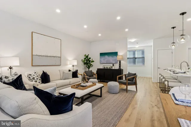 a living room with furniture potted plant and a window