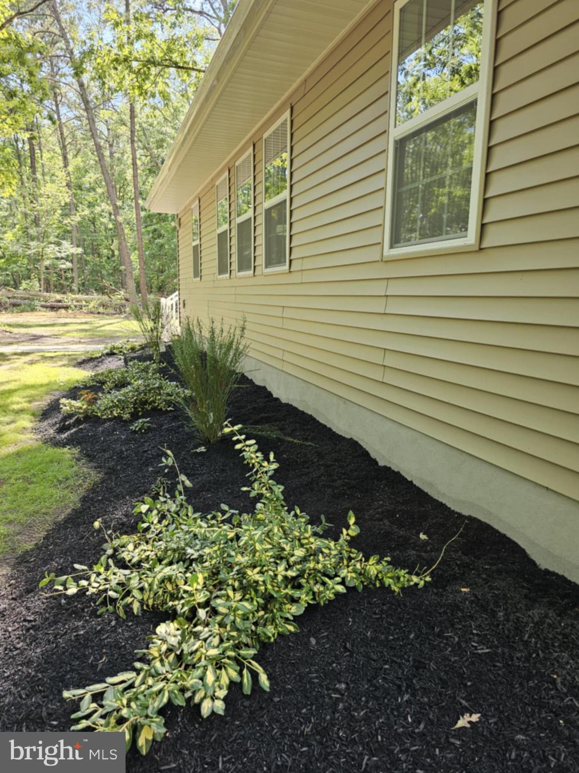 445 Weymouth Road Buena, NJ 08310 - Photo 6 of 26