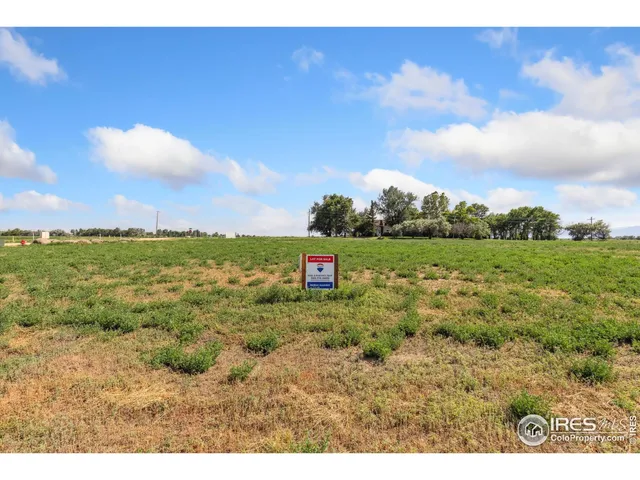 a view of a field with an trees
