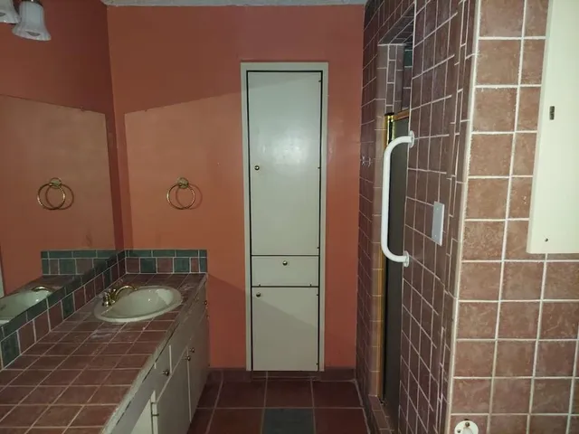 a bathroom with a sink a shower and a mirror