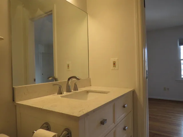 a bathroom with a sink and a mirror