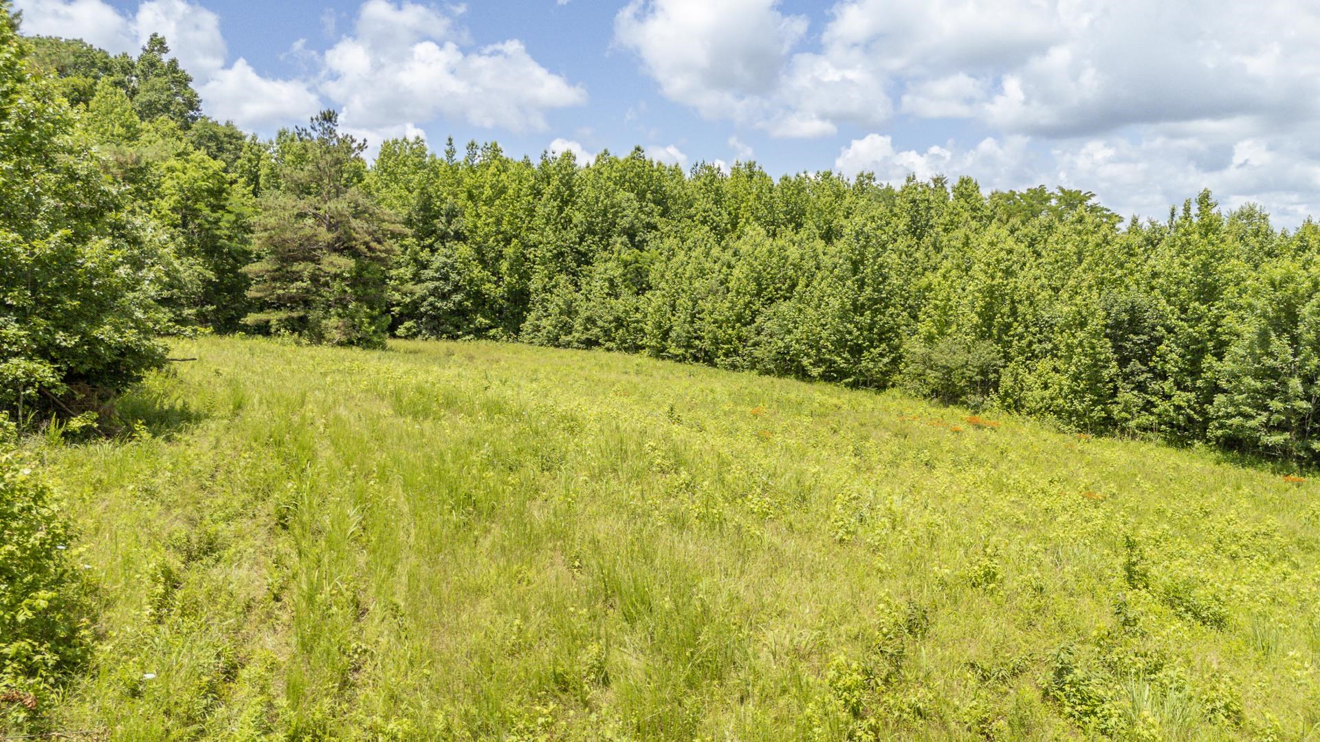 904 Capooth Road Ramer, TN 38367 - Photo 29 of 40