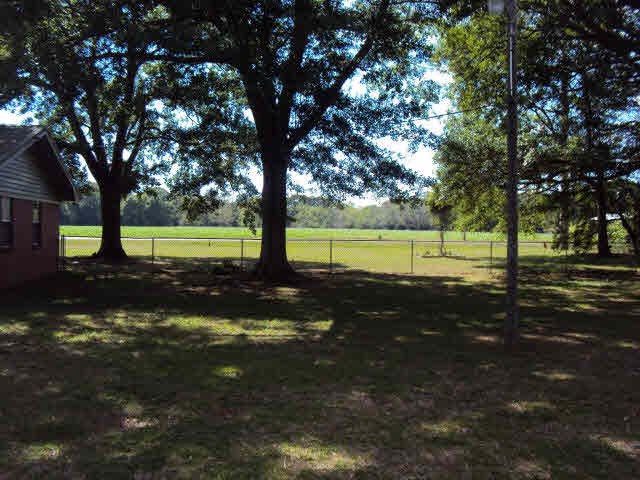 42750 Pine Grove Road Bay Minette, AL 36507 - Photo 17 of 22 Backyard 3