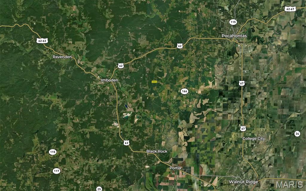 Tbd Fairview Road Imboden, AR 72434 - Photo 24 of 24
