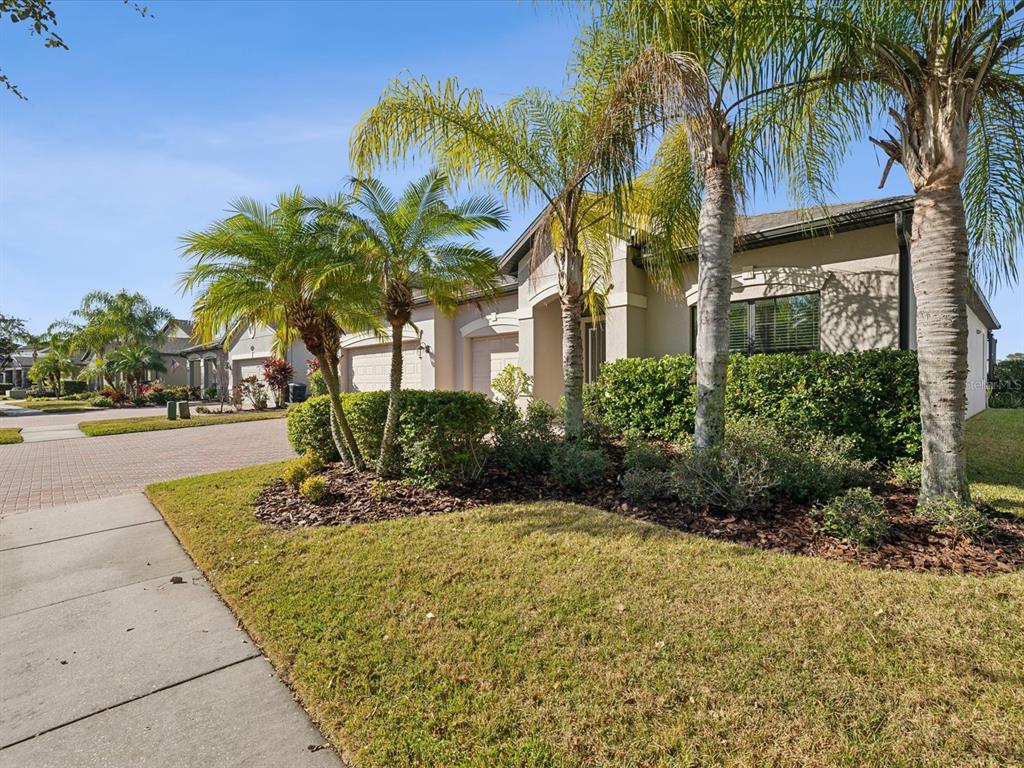 1831 Cameron Court New Port Richey, FL 34655 - Photo 60 of 63 Gallery Image 60