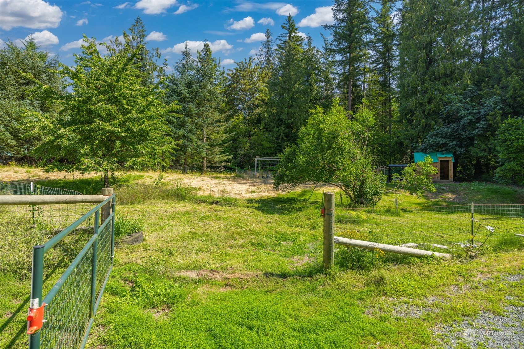 3744 Sorenson Road Everson, WA 98247 - Photo 28 of 39