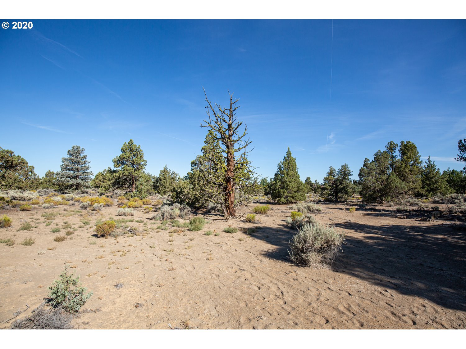 65765 Pronghorn Estates, Unit 24 Bend, OR 97701 - Photo 12 of 24
