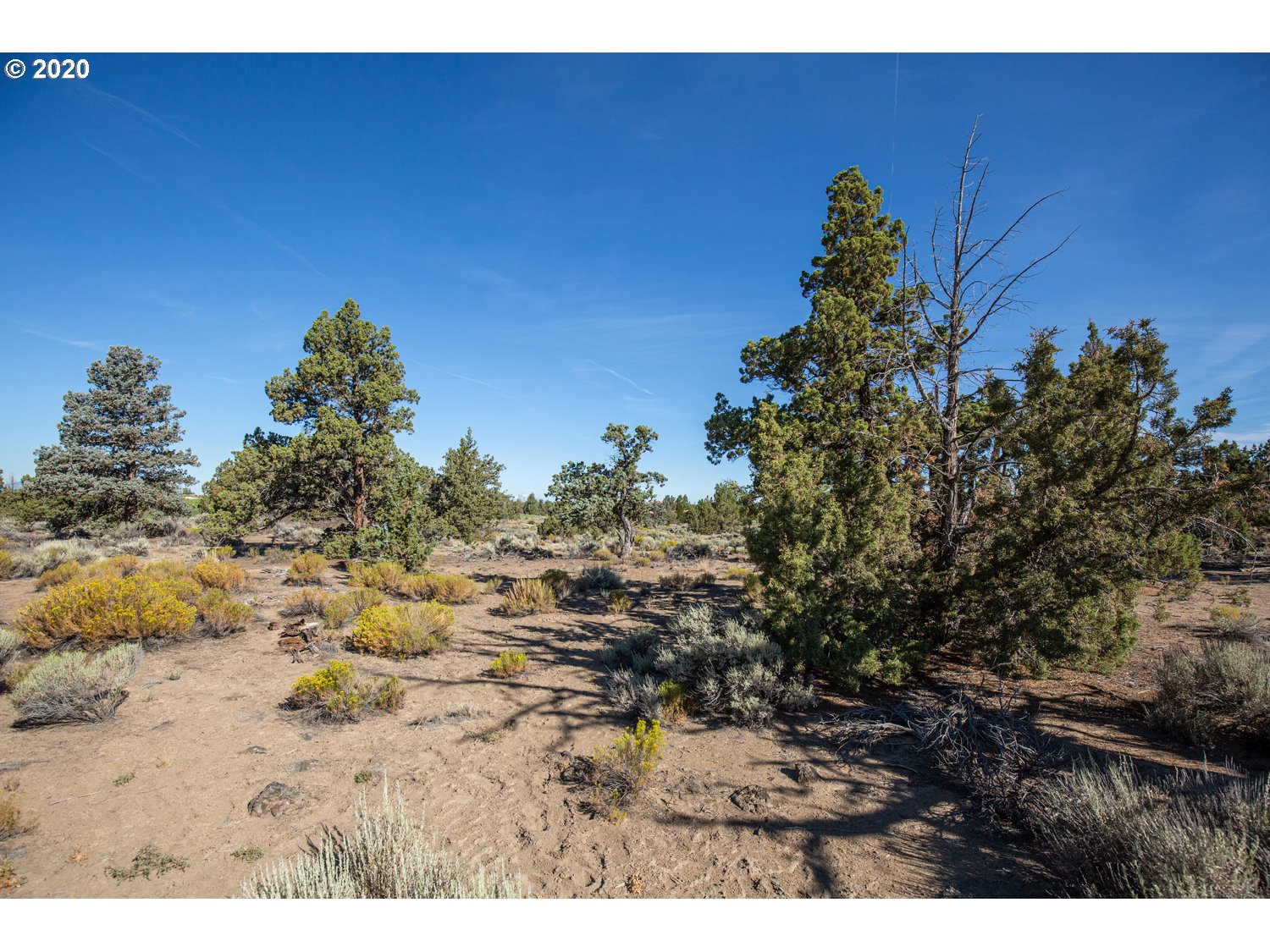 65765 Pronghorn Estates, Unit 24 Bend, OR 97701 - Photo 15 of 24