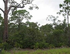 29 St Panacea Panacea, FL 32346 - Photo 1 of 4