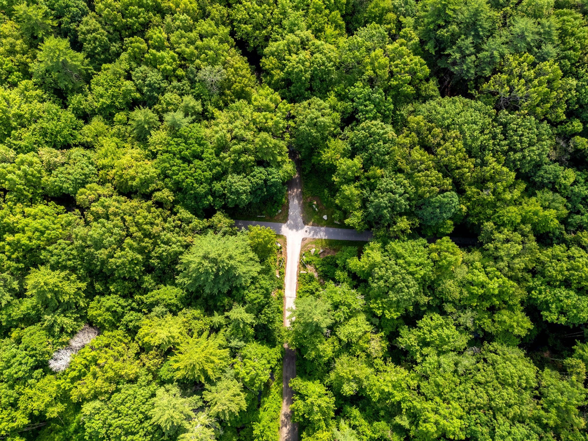 150 Lafayette Road Salisbury, MA 01952 - Photo 9 of 19 Gallery Image 9