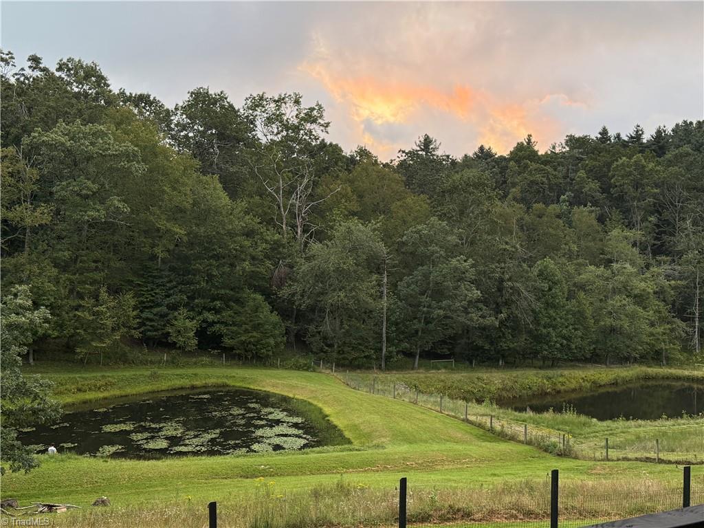 163 Snow Ridge Lane Fancy Gap, VA 24328 - Photo 47 of 47 Gallery Image 47