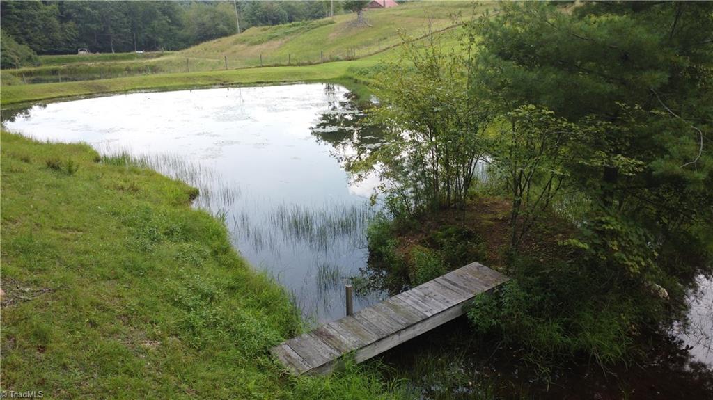 163 Snow Ridge Lane Fancy Gap, VA 24328 - Photo 8 of 47 Gallery Image 8
