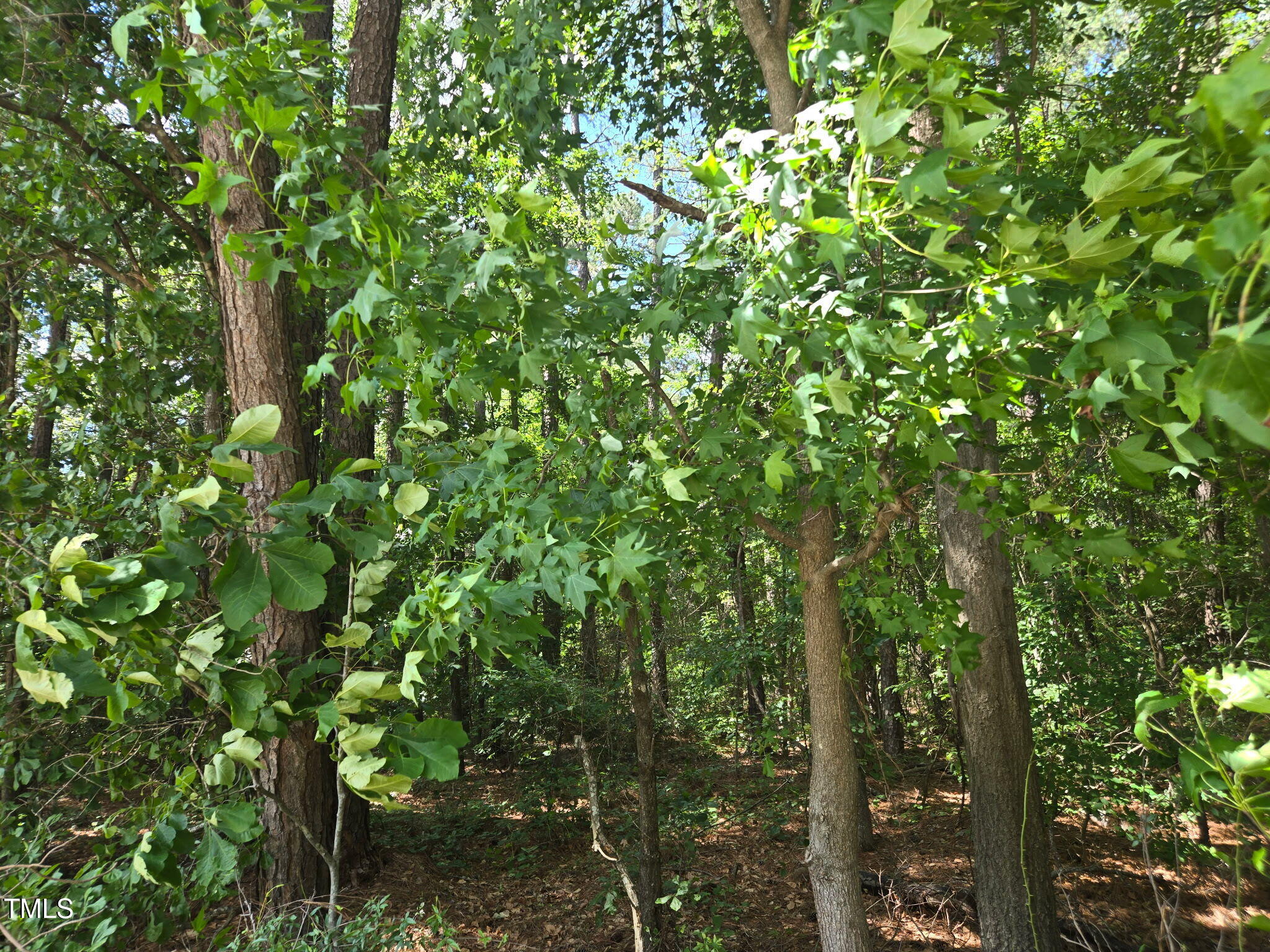 0 Lee-Johnson Road Dunn, NC 28334 - Photo 4 of 15 1000041242