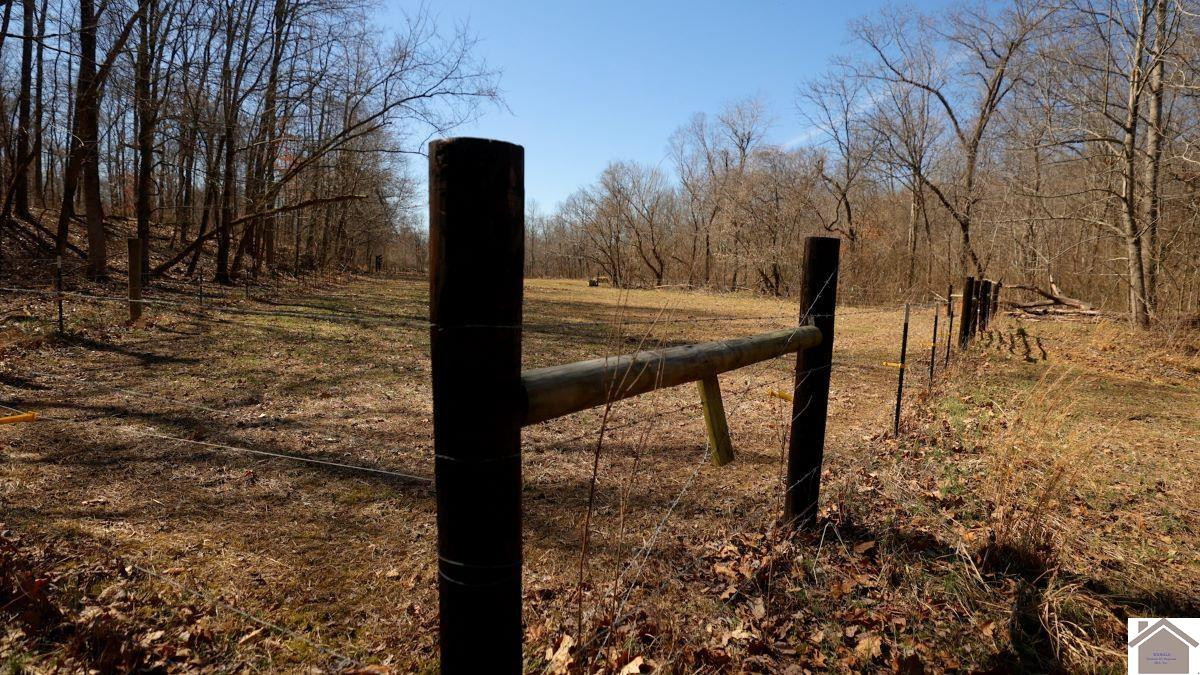 0 Wray Road Wingo, KY 42088 - Photo 26 of 39 Photo 26