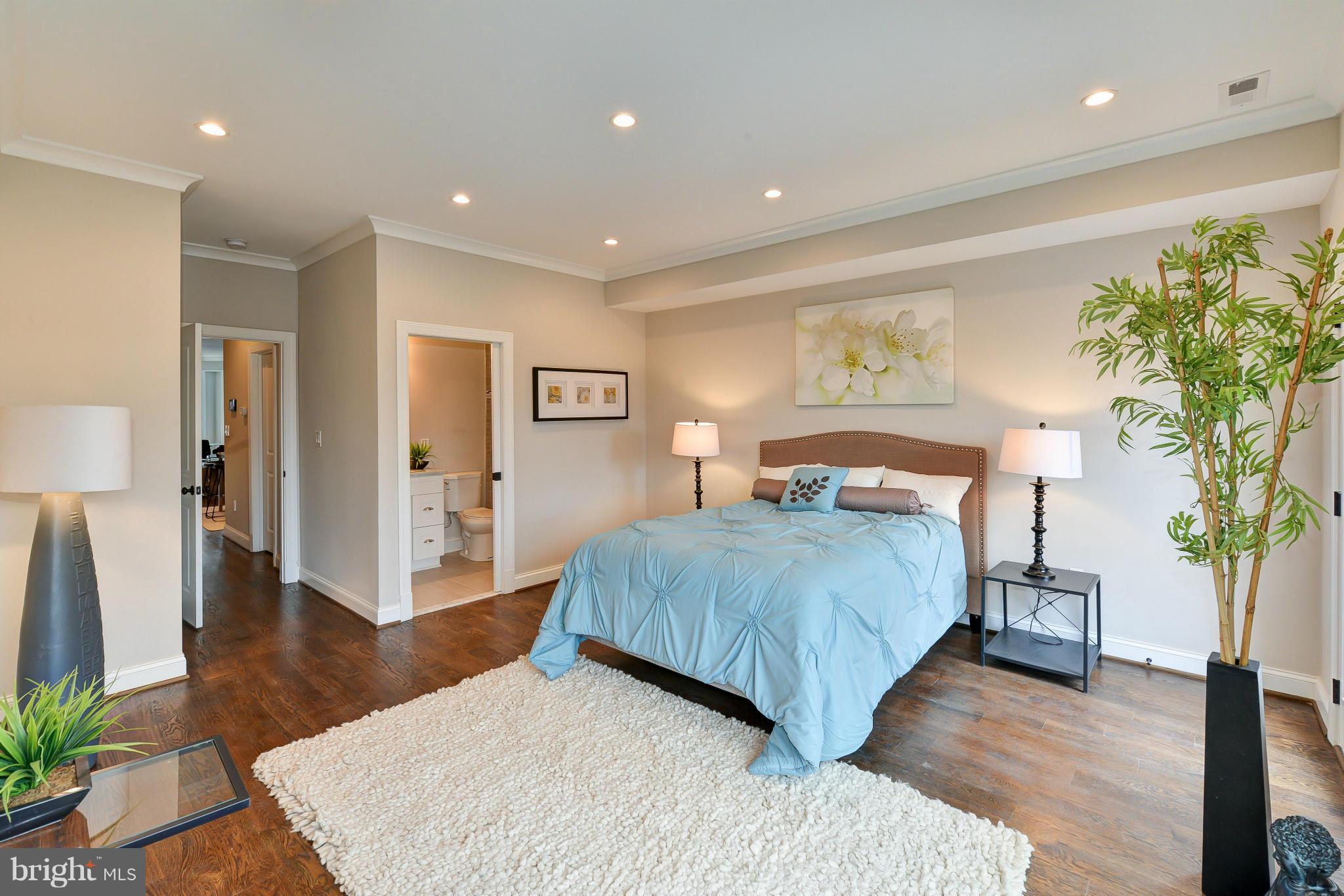 39 U Street Northeast, Unit 1 Washington, DC 20002 - Photo 11 of 27 a bedroom with a large bed and a potted plant