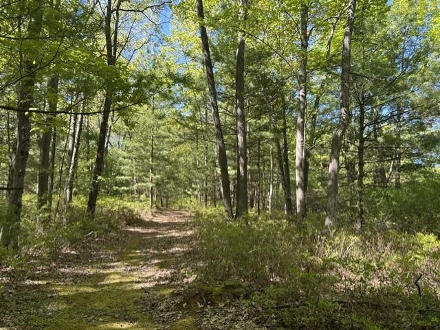 22 Baldwin Resort Road East Tawas, MI 48730 - Photo 16 of 72