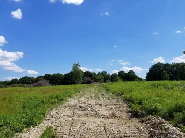 a view of a yard with a slide and a tree