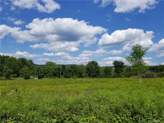 a view of a dirt road with trees in the background