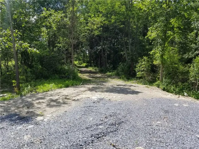 $890,000 | 0 Route 55, LaGrangeville, NY 12540
