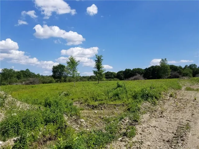 a view of a city with lush green forest