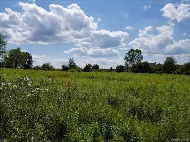 a view of a grassy field with trees