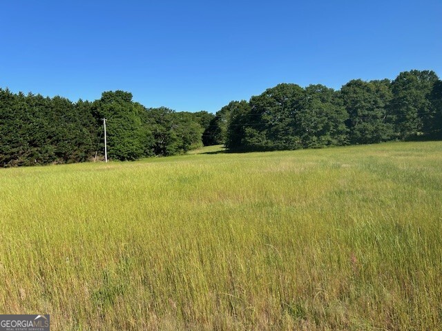 0 Simmons Road, Unit TRACT 1 Social Circle, GA 30025 - Photo 16 of 30 a view of yard with ocean view