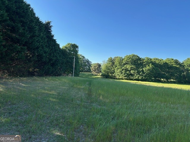 0 Simmons Road, Unit TRACT 1 Social Circle, GA 30025 - Photo 21 of 30 a view of a green field with plants