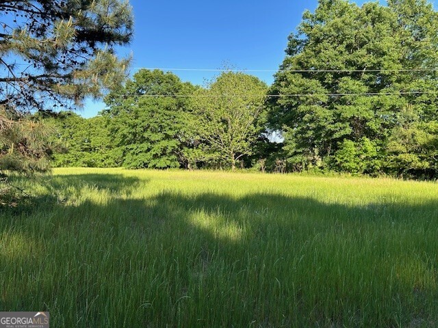 0 Simmons Road, Unit TRACT 1 Social Circle, GA 30025 - Photo 23 of 30 a view of yard with green space