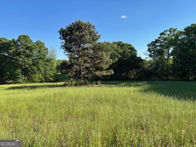 0 Simmons Road, Unit TRACT 1 Social Circle, GA 30025 - Photo 25 of 30