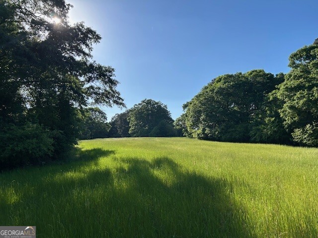 0 Simmons Road, Unit TRACT 1 Social Circle, GA 30025 - Photo 27 of 30 a view of field with tall trees
