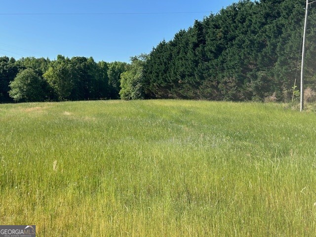 0 Simmons Road, Unit TRACT 1 Social Circle, GA 30025 - Photo 3 of 30 a view of a yard with a tree