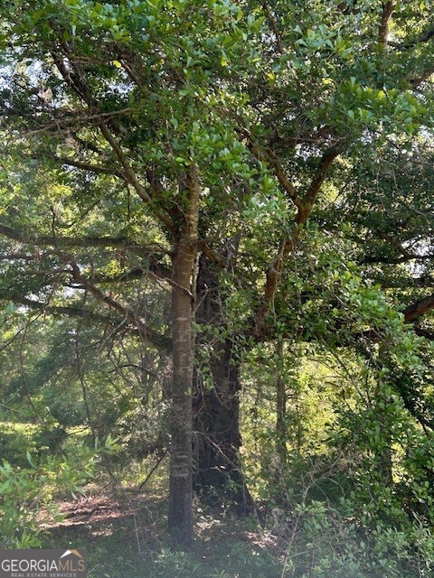 0 Simmons Road, Unit TRACT 1 Social Circle, GA 30025 - Photo 5 of 30 a view of a tree in a yard