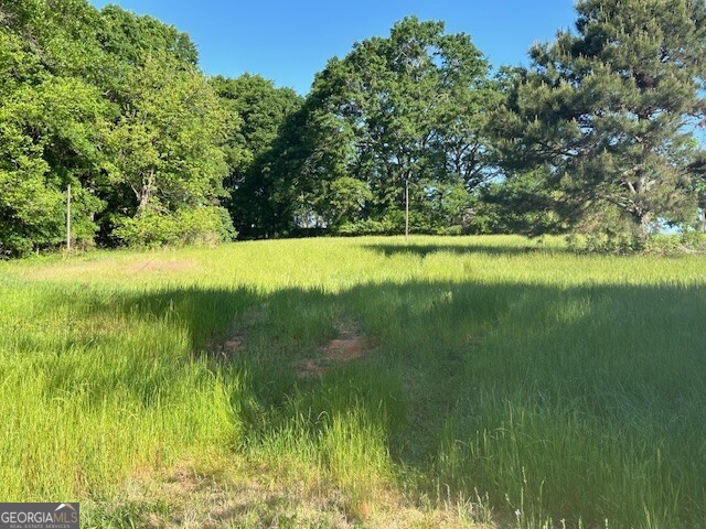 0 Simmons Road, Unit TRACT 1 Social Circle, GA 30025 - Photo 6 of 30