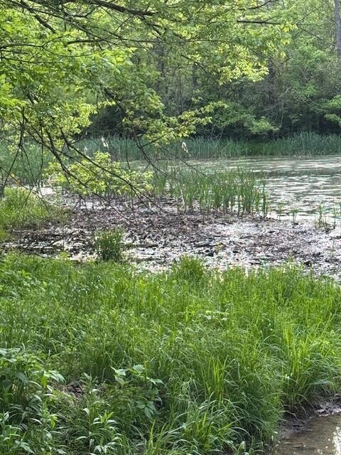 917 Wolf Run Road Germantown, KY 41044 - Photo 29 of 29 Gallery Image 29